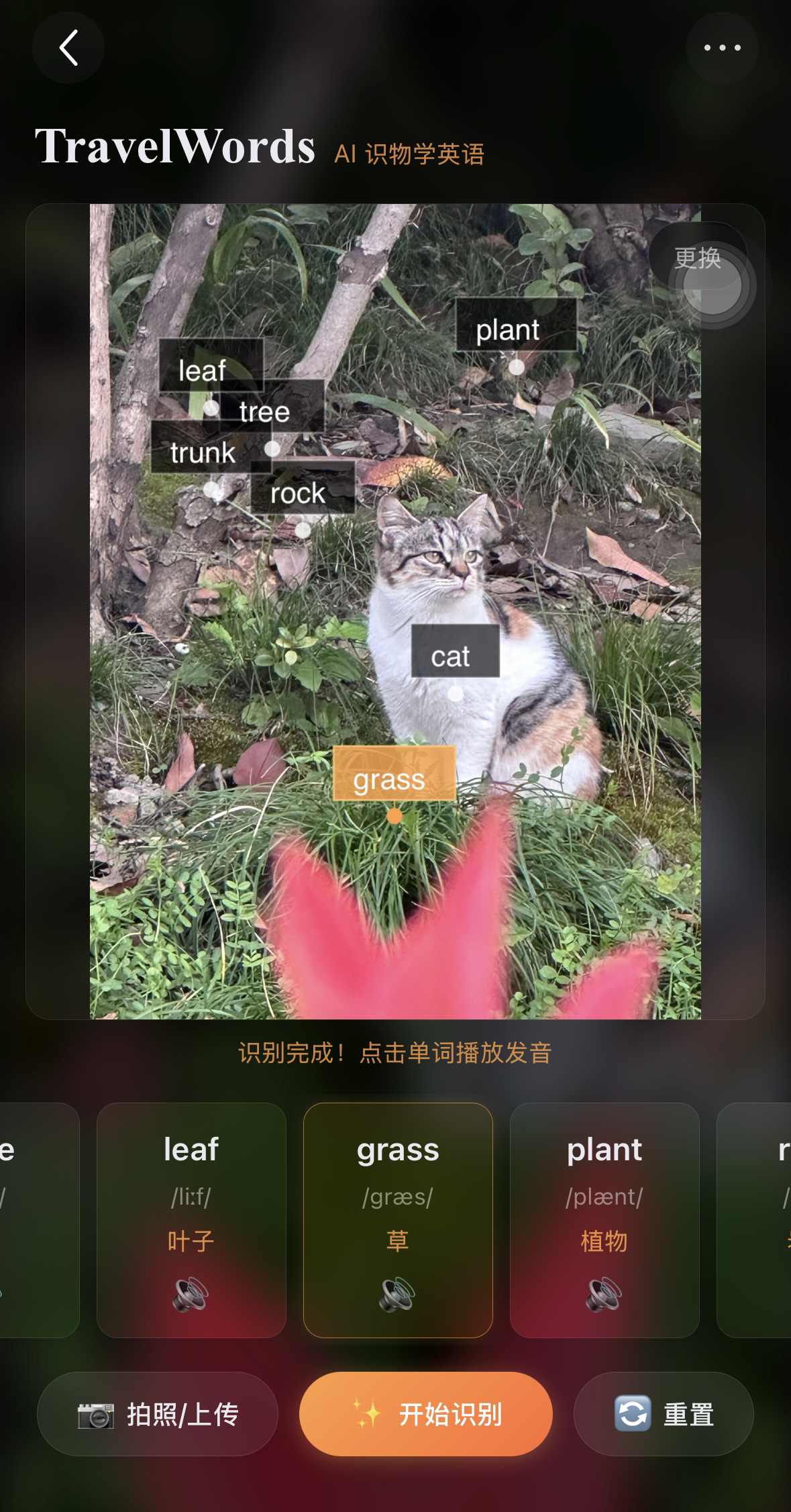 旅游助手小组件界面截图